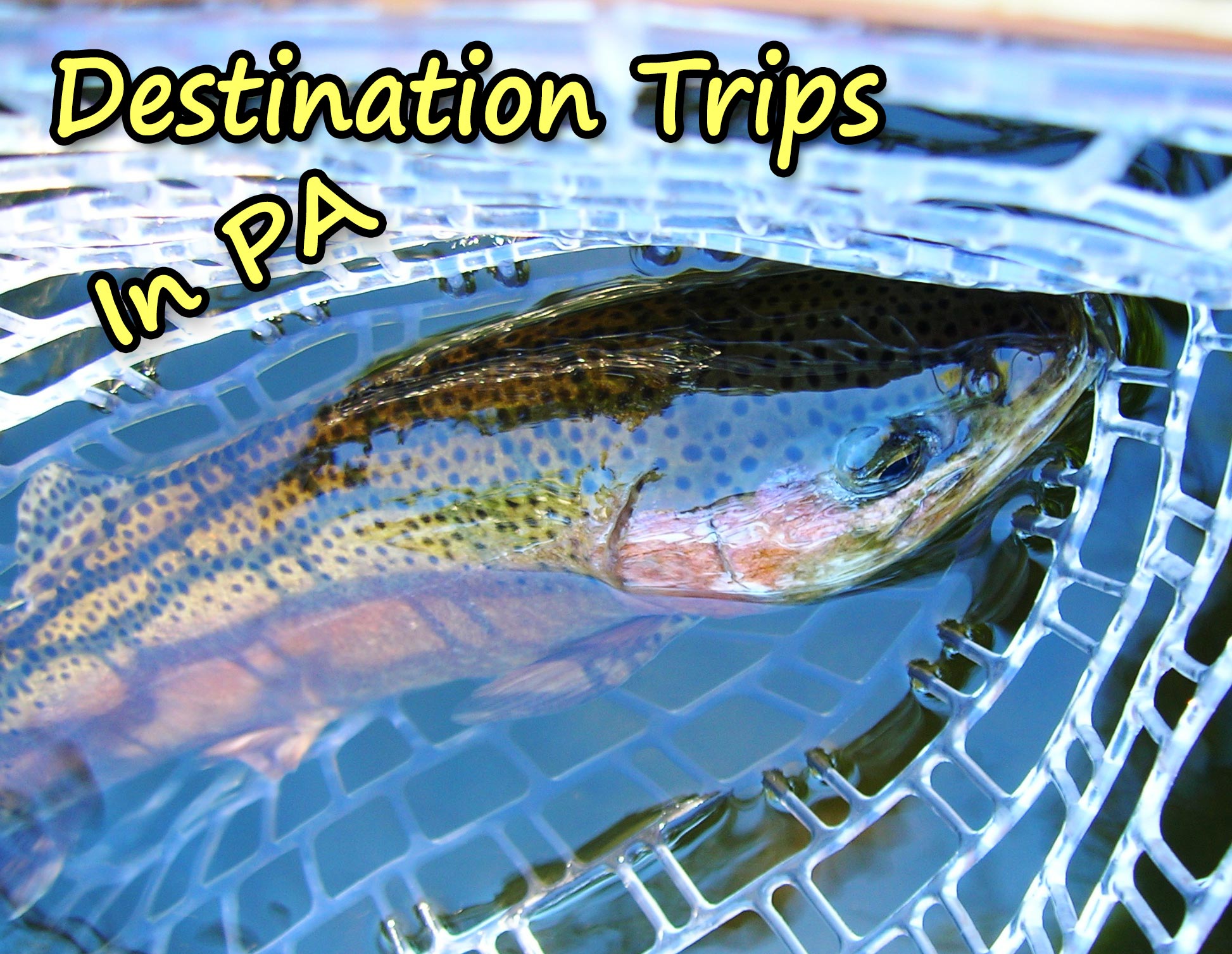 Sky Blue Outfitters Fly Fishing Guide Service In Pennsylvania