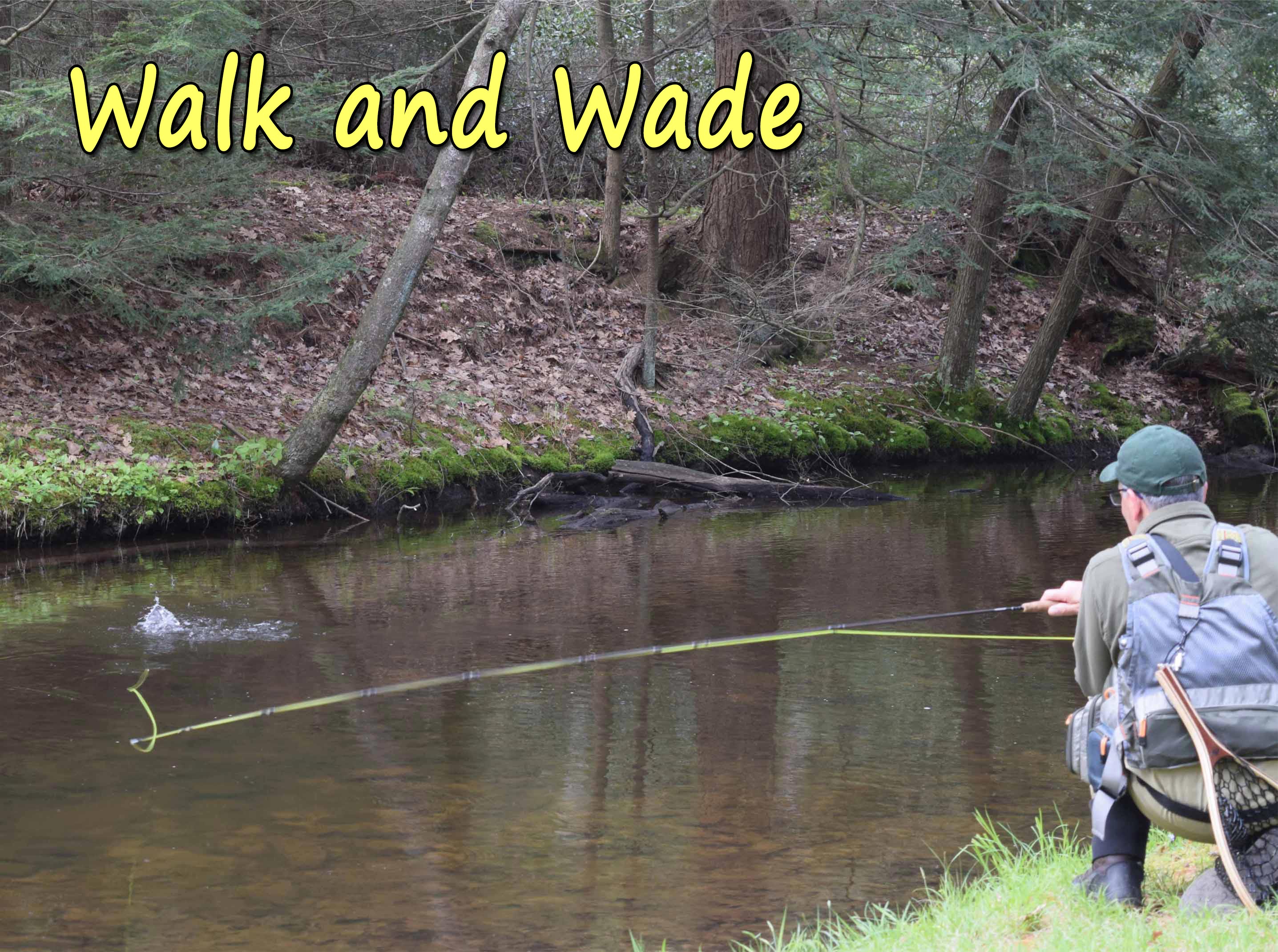 Walk and Wade Day Trips on Penns, Spring, Pine, Kettle, Little Juniata, Lehigh, Tulpehocken, Manatawny, Pohopoco and Lackawanna just to name a few of the stream we guide on in PA