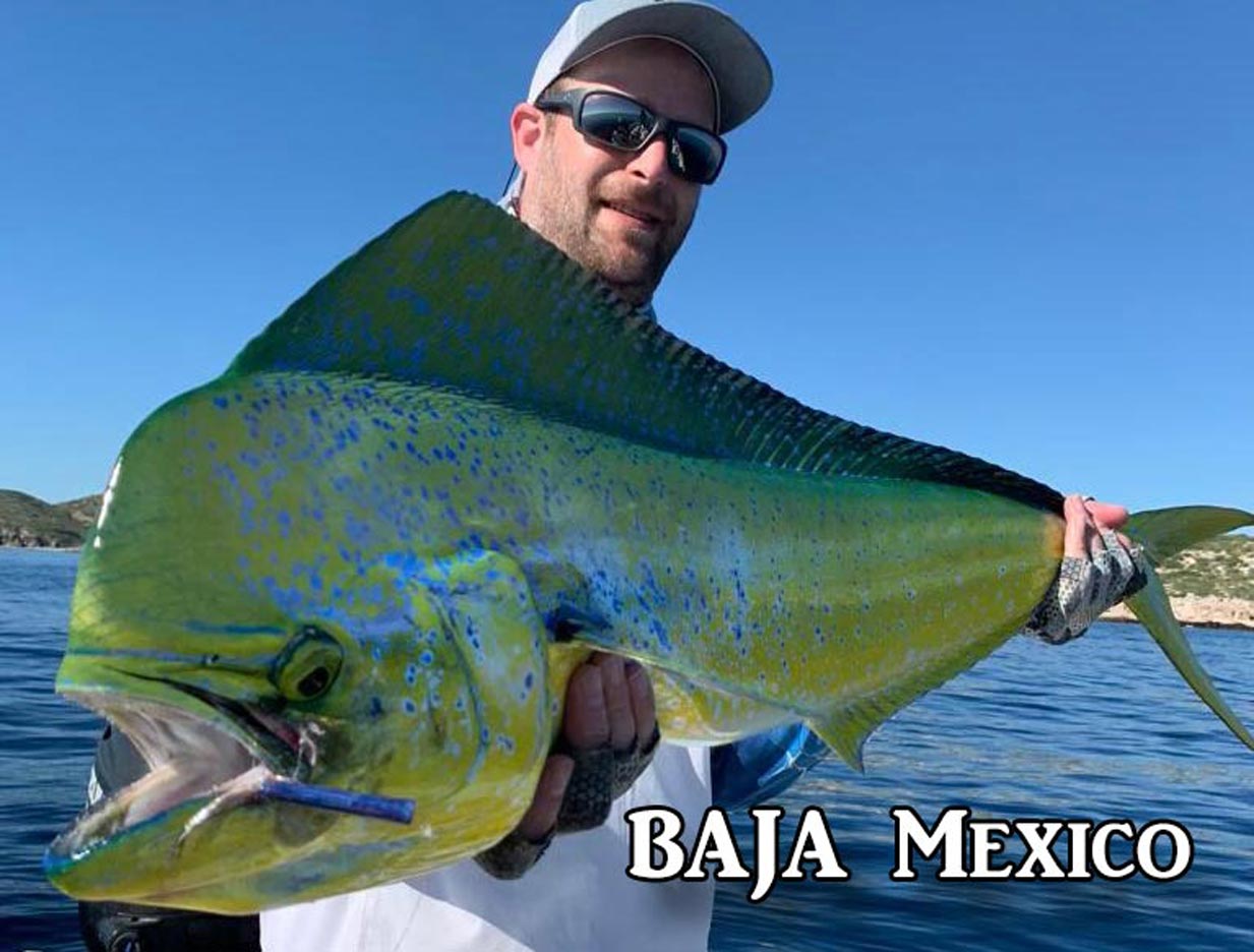 Roosterfish, Dorado, Tuna! We  Are Going To Baja Mexico To Enjoy Some Of The Best Salt Water Fly Fishing. This All Inclusive Trip  Should Be On Your Bucket List. October 2023  Is Prime Time .