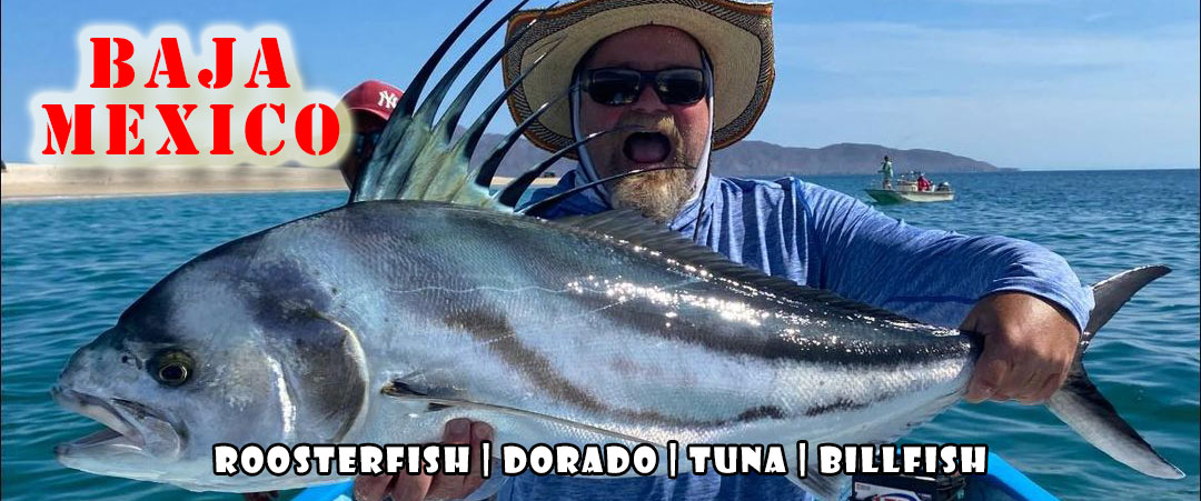 Roosterfish, Dorado, Tuna! We  Are Going To Baja Mexico To Enjoy Some Of The Best Salt Water Fly Fishing. This All Inclusive Trip  Should Be On Your Bucket List. October 2023  Is Prime Time .