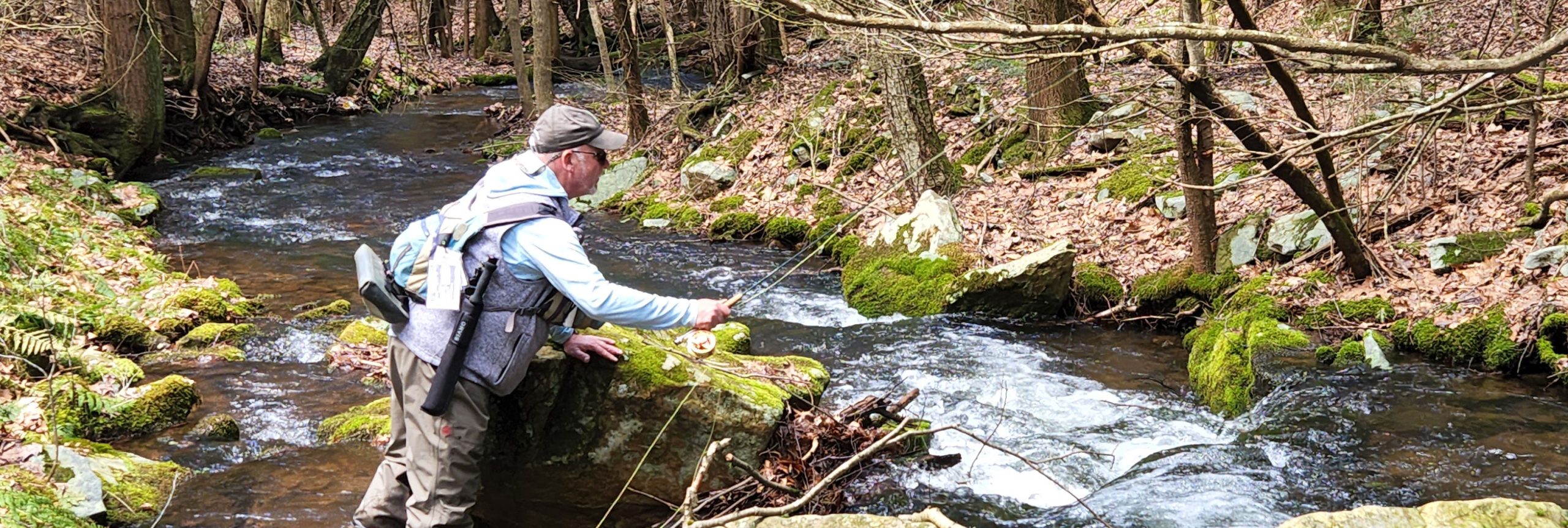 We Fly Fish Small Streams For Brook Trout