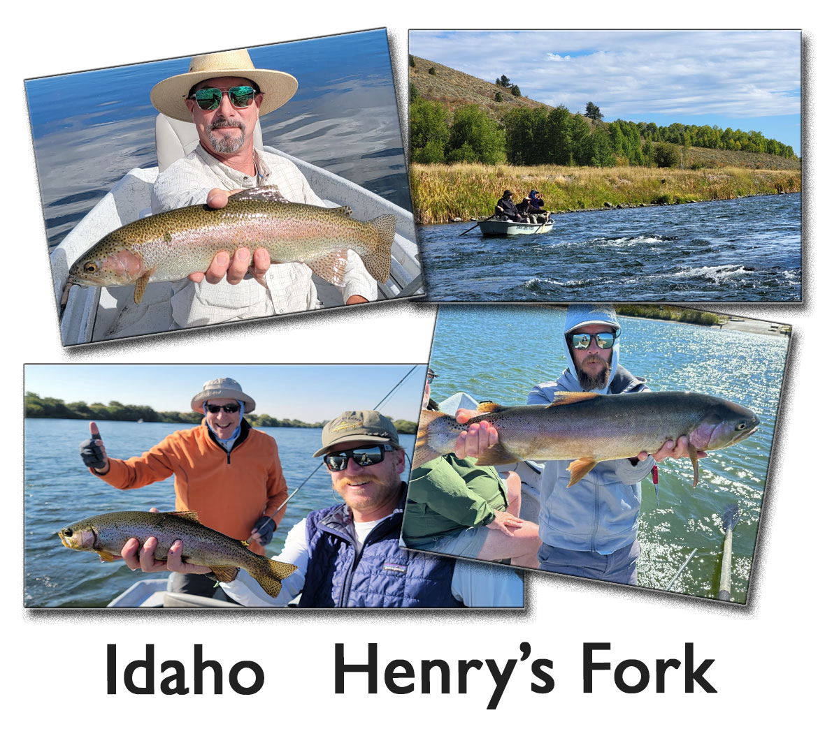 Spend 5 Days Drifting On The Henry's Fork For Big Rainbows. It is Hopper-Dropper Time. 