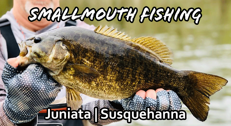 When Trout Fishing Ends For The Summer, Smallmouth Fishing Begins. Join Us On A Drift Down The Juniata or Susquehanna Rivers For A Day Of Some Of The Best Smallmouth Fishing In The East.